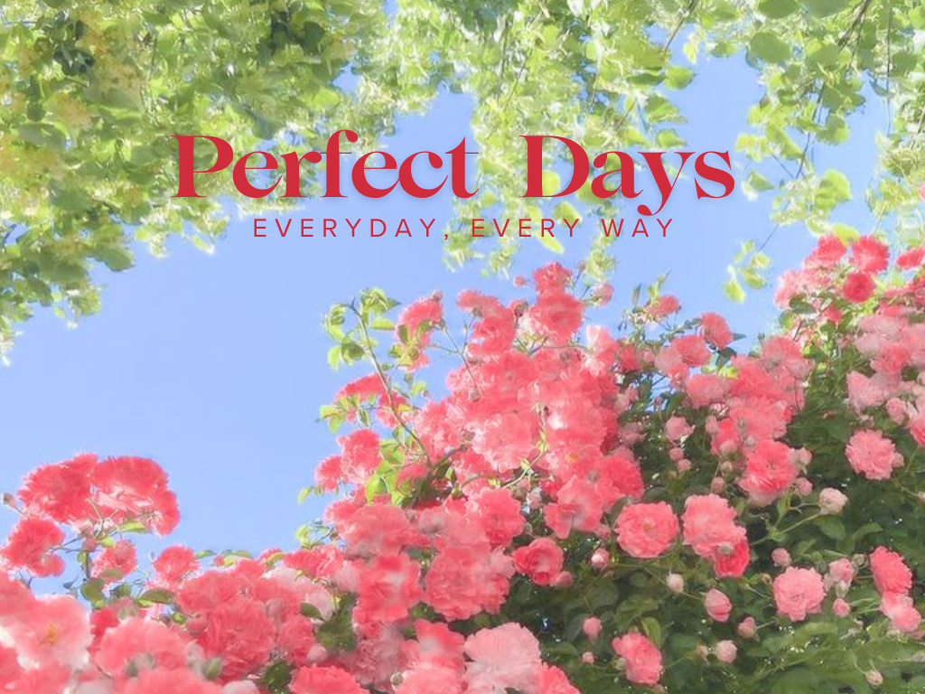 Untitled (1418 x 488 px)-2